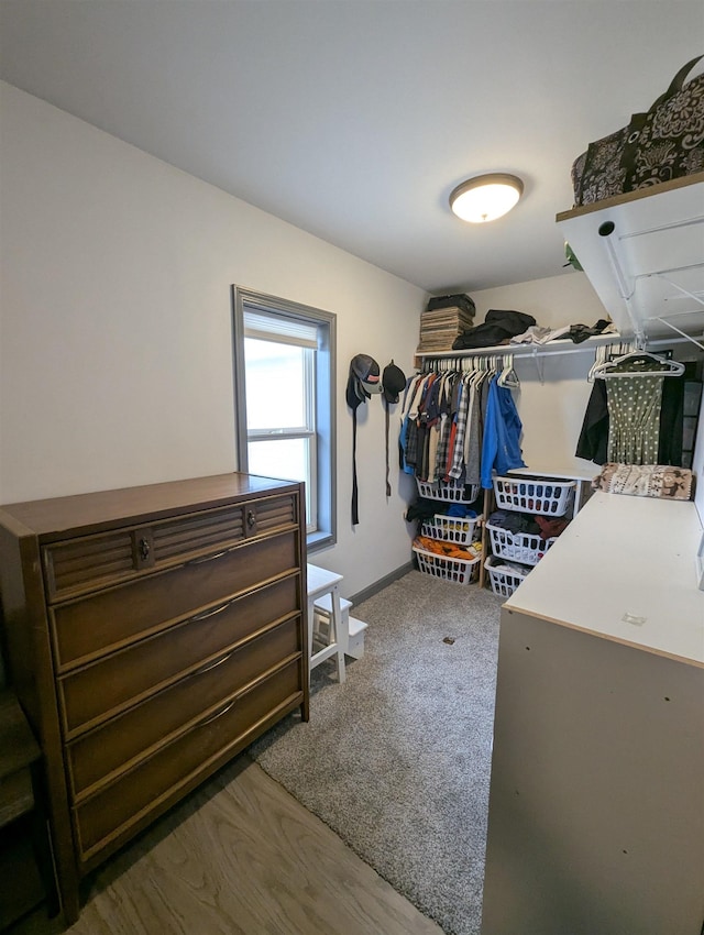 3344 E Huron, Au Gres, MI 48703 - walk in closet featuring carpet flooring