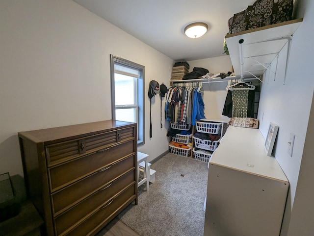 3344 E Huron, Au Gres, MI 48703 - walk in closet with carpet floors