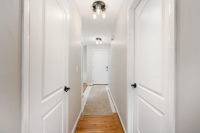568 Foxboro Sq Unit 59, Brighton, MI 48116 - corridor featuring light wood-style floors and baseboards