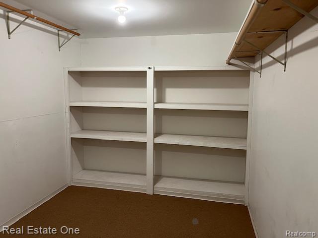 1797 Golf Ridge Dr, Bloomfield Hills, MI 48302 - view of spacious closet