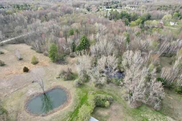 4910 W Saginaw, Vassar, MI 48768 - aerial view featuring a water view