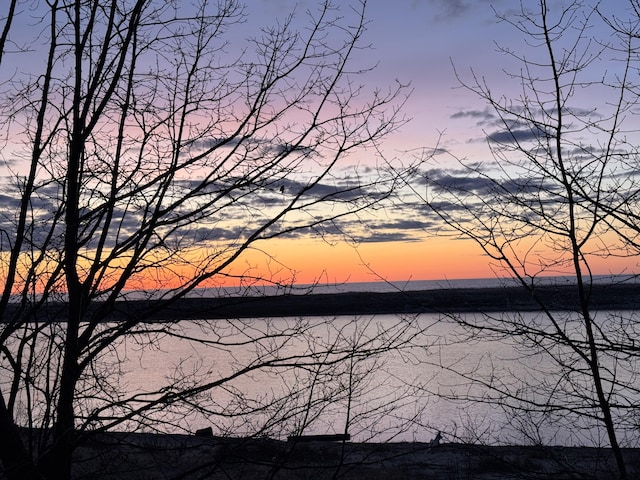 property view of water