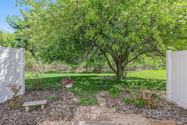 view of yard