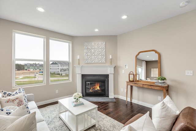 2774 Polson St, Ann Arbor, MI 48105 - living area with a glass covered fireplace, baseboards, recessed lighting, and dark wood-style flooring