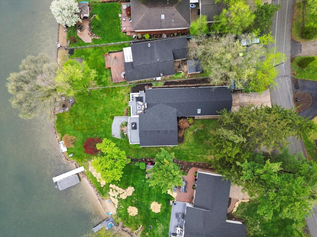 drone / aerial view