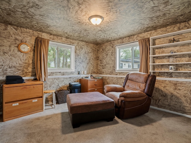 sitting room featuring carpet floors