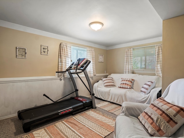 workout area with carpet floors and a wealth of natural light