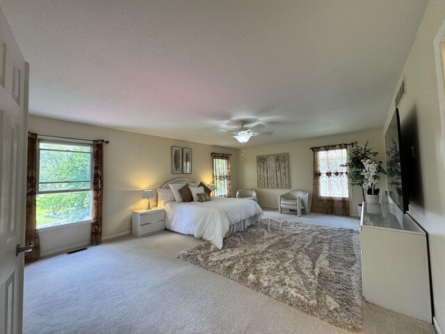5644 Lohr Lake Dr, Ann Arbor, MI 48108 - bedroom featuring multiple windows, carpet flooring, ceiling fan, and baseboards