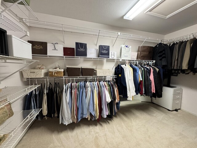 5644 Lohr Lake Dr, Ann Arbor, MI 48108 - spacious closet featuring carpet flooring and attic access