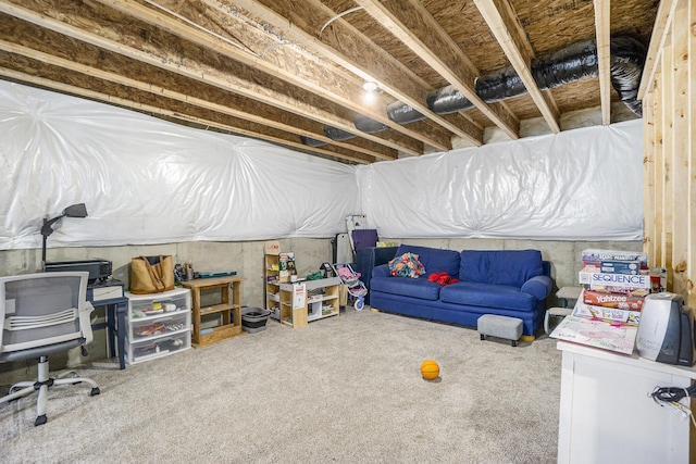 view of unfinished basement