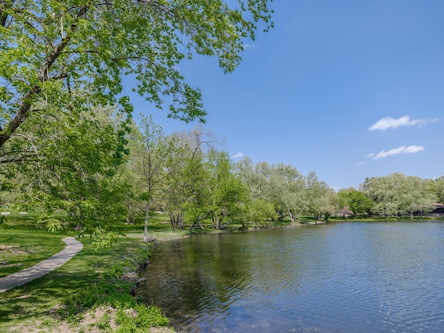 3603 Woodcliff Dr, Kalamazoo, MI 49008 - water view