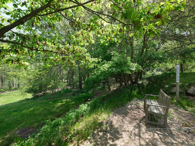 3603 Woodcliff Dr, Kalamazoo, MI 49008 - view of yard featuring a forest view