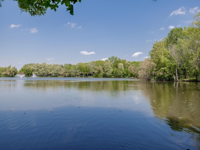 3603 Woodcliff Dr, Kalamazoo, MI 49008 - water view featuring a heavily wooded area