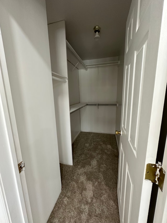 9615 Woodland Ct, Ypsilanti, MI 48197 - walk in closet with carpet floors