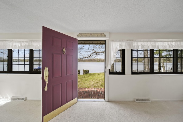 8577 Glenwood Ct, Jackson, MI 49201 - carpeted foyer entrance with visible vents, a textured ceiling, a water view, and a wealth of natural light