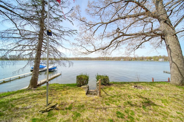8577 Glenwood Ct, Jackson, MI 49201 - property view of water with a dock