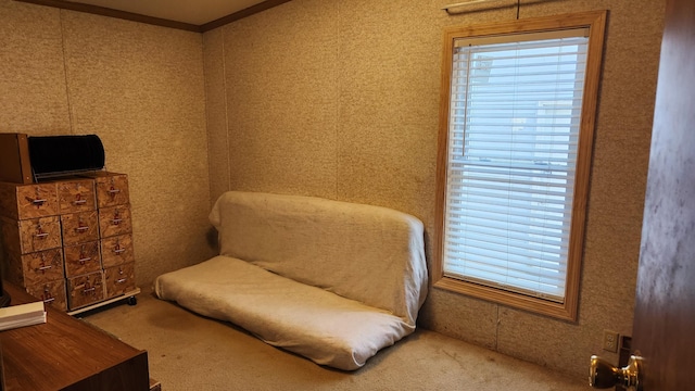 2513 Moore Dr, Allegan, MI 49010 - living area with carpet floors