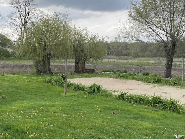 12036 S Custer, Dundee, MI 48133 - view of yard