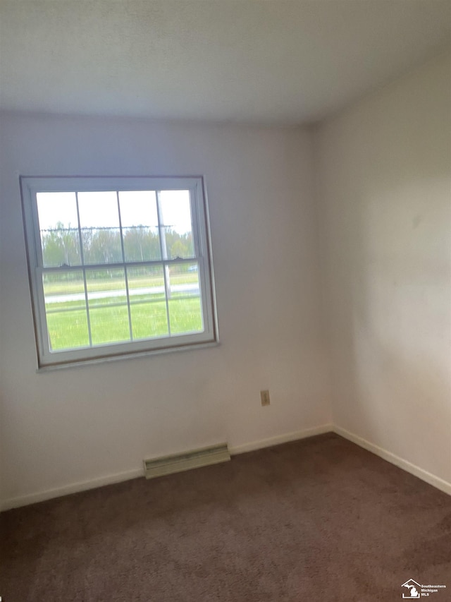 12036 S Custer, Dundee, MI 48133 - spare room with a baseboard radiator, dark carpet, and baseboards
