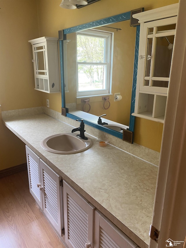12036 S Custer, Dundee, MI 48133 - bathroom featuring vanity and wood finished floors