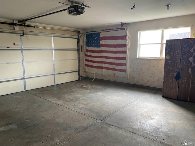 12036 S Custer, Dundee, MI 48133 - garage featuring a garage door opener