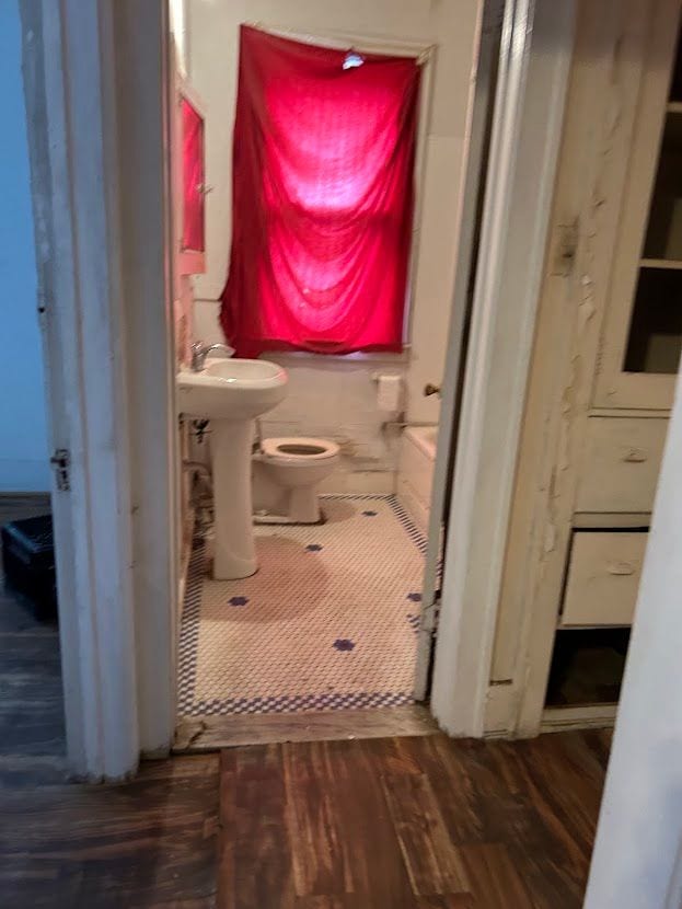bathroom featuring a sink, toilet, and wood finished floors