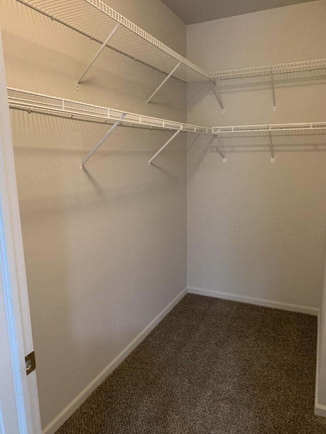 spacious closet with carpet flooring