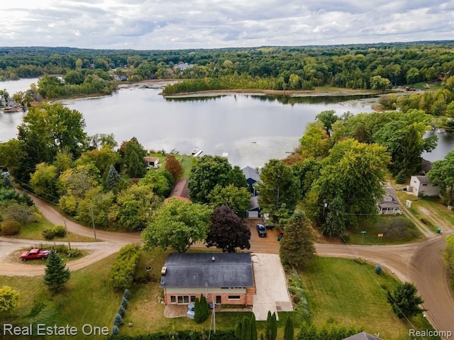 birds eye view of property with a water view and a view of trees