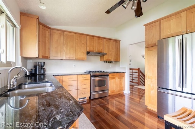 kitchen with a sink, under cabinet range hood, a ceiling fan, dark wood finished floors, and appliances with stainless steel finishes