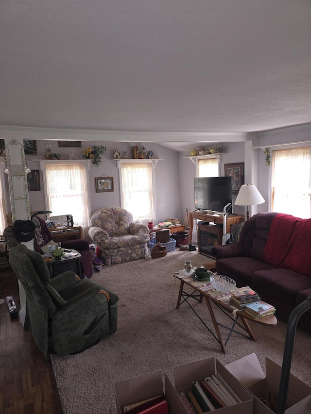 living area featuring plenty of natural light and dark wood-style floors