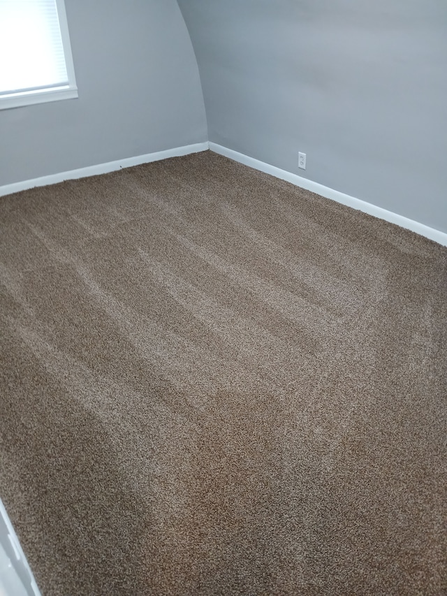 bonus room featuring baseboards and carpet floors