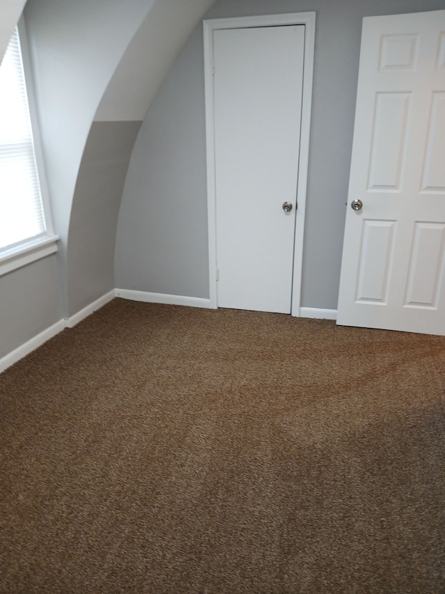 additional living space featuring baseboards, carpet, and vaulted ceiling