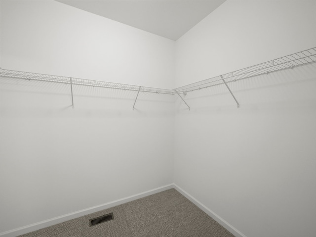spacious closet featuring carpet floors and visible vents
