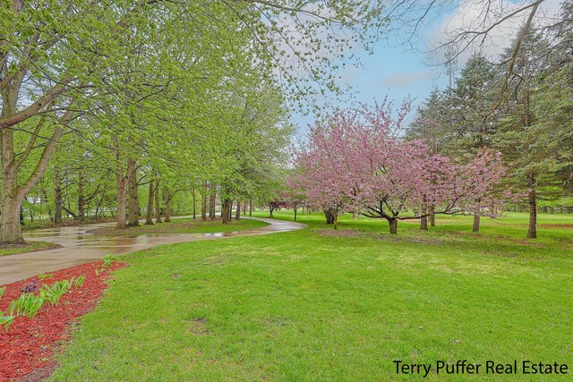 3367 Northview Ln, Allegan, MI 49010 - photo 47