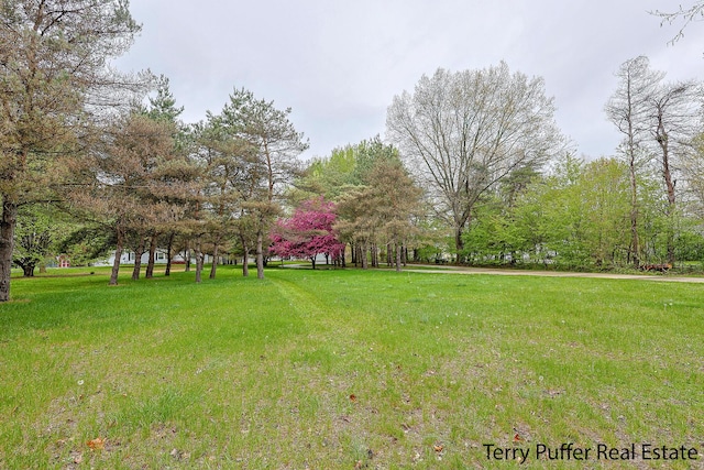 3367 Northview Ln, Allegan, MI 49010 - photo 54