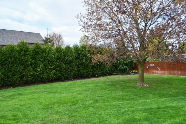 view of yard featuring fence