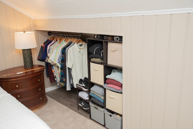 view of closet