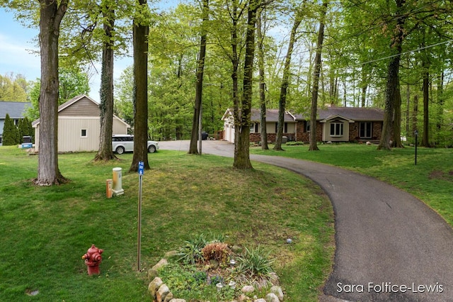 ranch-style home featuring curved driveway and a front yard