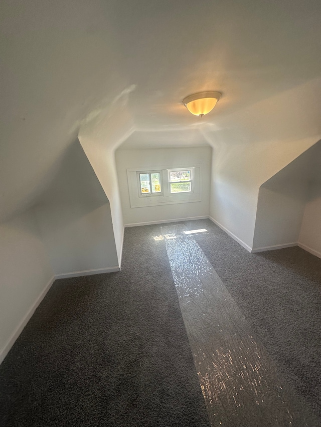 additional living space with baseboards and carpet