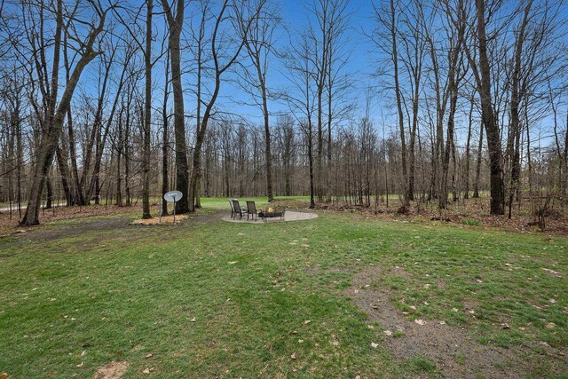 3007 Akins Ln, Bellaire, MI 49615