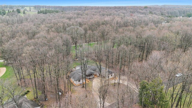 3007 Akins Ln, Bellaire, MI 49615