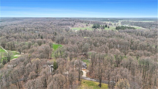 3007 Akins Ln, Bellaire, MI 49615