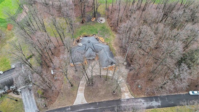 3007 Akins Ln, Bellaire, MI 49615
