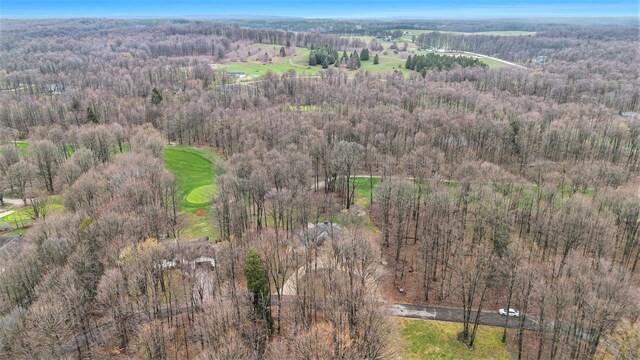 3007 Akins Ln, Bellaire, MI 49615