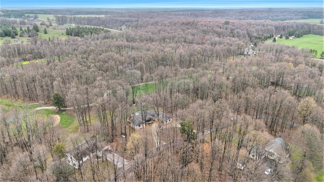 3007 Akins Ln, Bellaire, MI 49615