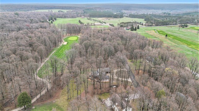 3007 Akins Ln, Bellaire, MI 49615