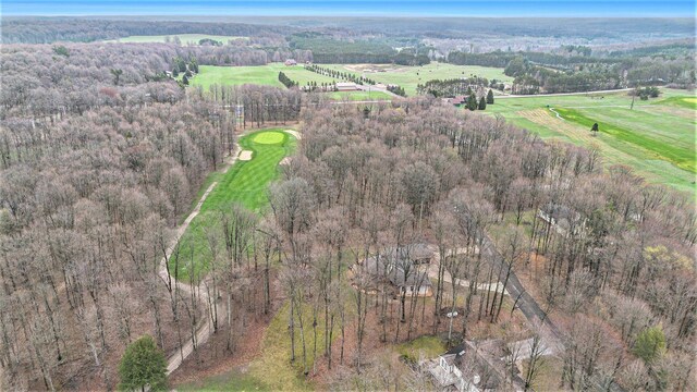 3007 Akins Ln, Bellaire, MI 49615