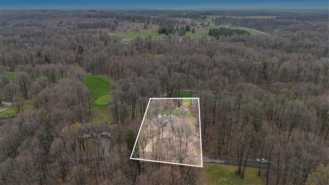 3007 Akins Ln, Bellaire, MI 49615