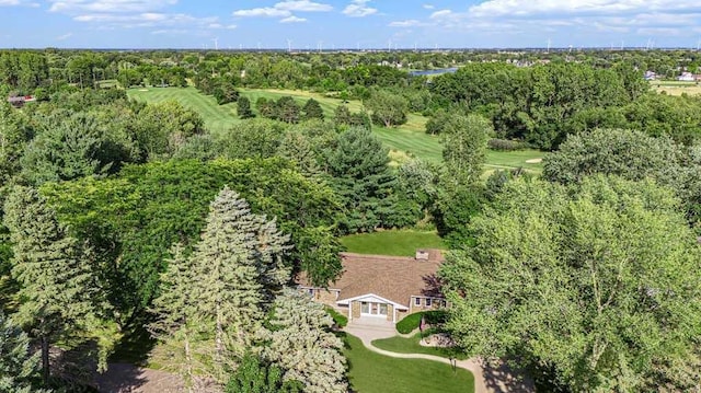 410 Orchard Ct, Saint Louis, MI 48880 - bird's eye view
