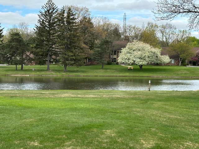 water view